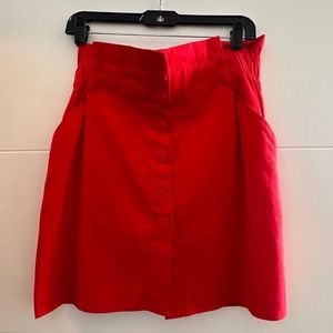 Zara Skirt